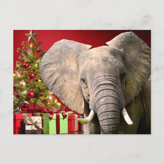 Elephant kerstgroet briefkaart (Voorkant)