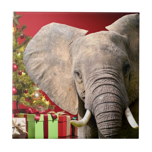 Elephant kerstgroet tegeltje (Voorkant)