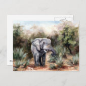 Elephant komt door Briefkaart (Voorkant / Achterkant)