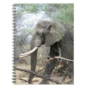 Elephant-laptop Notitieboek