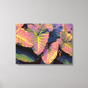 Elephant Leaves in Tropische Pastels Canvas Afdruk