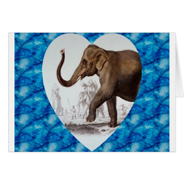 Elephant Love (Voorkant Horizontaal)