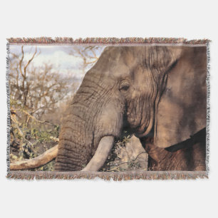 Elephant Lover Art Deken