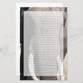 Elephant (Loxodonta africana), Abu Camp 3 Briefpapier (Voorkant / Achterkant)