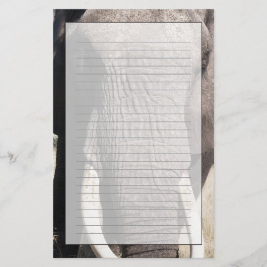 Elephant (Loxodonta africana), Abu Camp 3 Briefpapier (Voorkant)