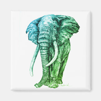 Elephant Magneet