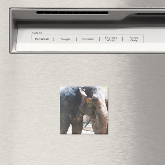 Elephant Magneet (Insitu (Vaatwasser))