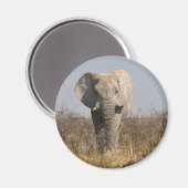 Elephant Magneet (Voorkant / Achterkant)