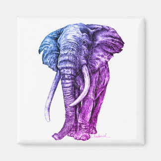Elephant Magneet