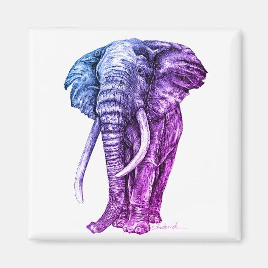 Elephant Magneet (Voorkant)