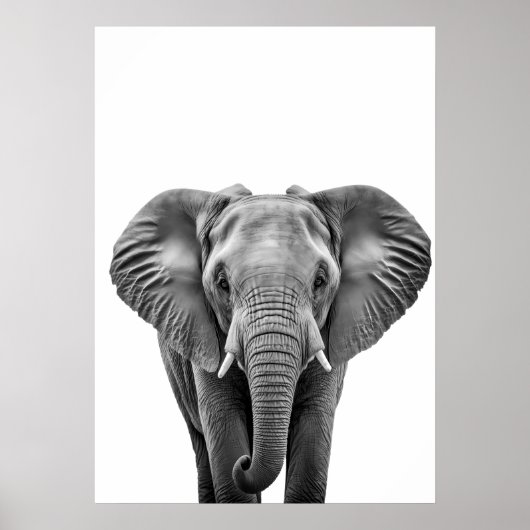 Elephant Modern Black White Poster (Voorkant)