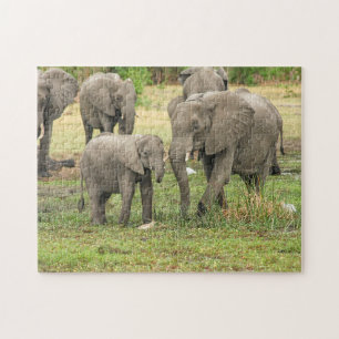 Elephant Moeder en Baby Animal Jigzaag Puzzle Legpuzzel