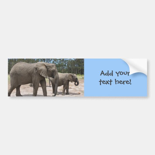 Elephant moeder en Baby foto Bumpersticker (Voorkant)