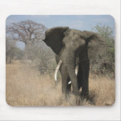 Elephant Mousepad Muismat (Voorkant)