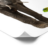 Elephant & muis poster (Hoek)