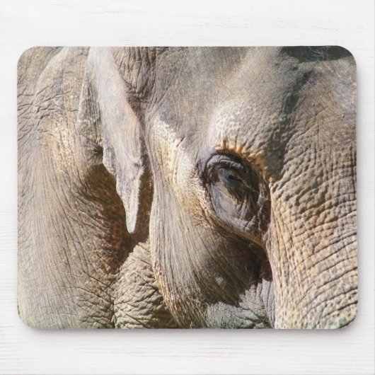 ELEPHANT MUISMAT (Voorkant)