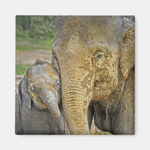 Elephant Newborn Hug Magnet Magneet