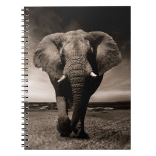 Elephant Notitieboek