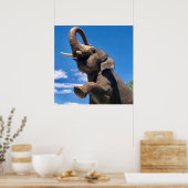 Elephant, Oerwoud, Safari, Natuur Wall Poster (Keuken)