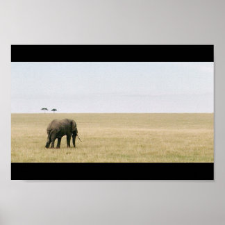 Elephant op de Mara Poster