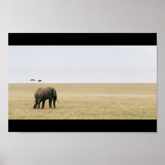 Elephant op de Mara Poster (Voorkant)