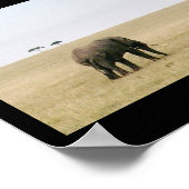 Elephant op de Mara Poster (Hoek)