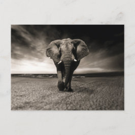 Elephant op Run Briefkaart