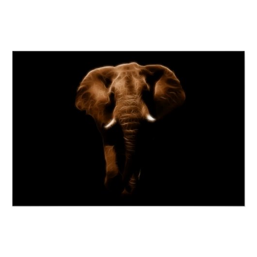 Elephant Perfect Poster (Voorkant)