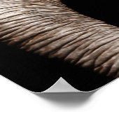 Elephant Photo Afbeelding Poster (Hoek)