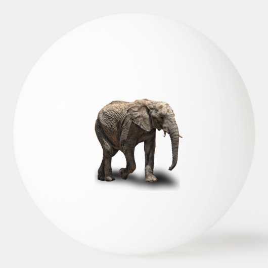 ELEPHANT PINGPONGBALLEN (Voorkant)