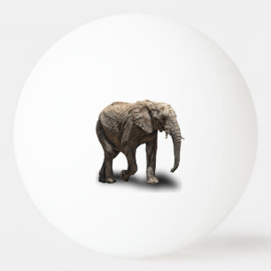 ELEPHANT PINGPONGBALLEN