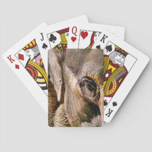 ELEPHANT POKERKAARTEN