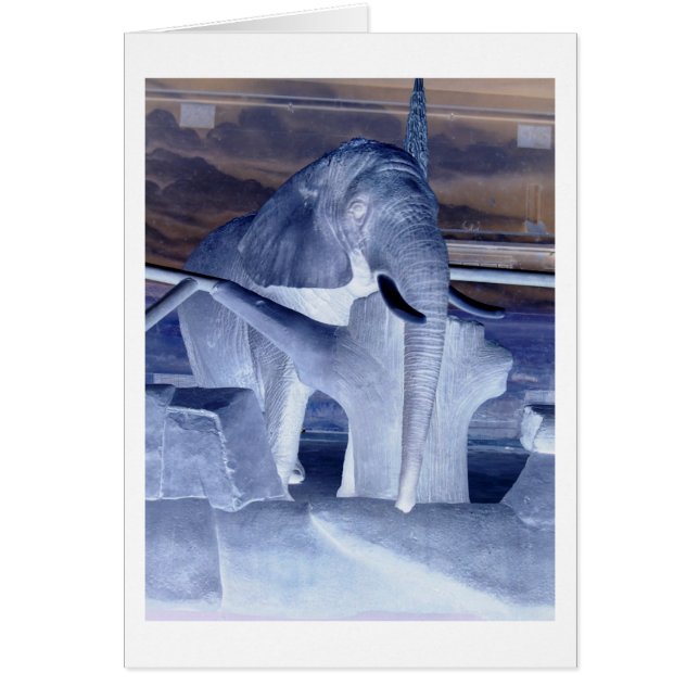 Elephant Pop Art (Voorkant)