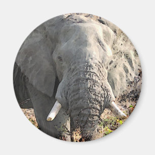 Elephant Pop Art Magneet