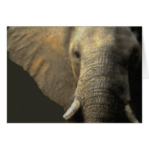 Elephant Portrait