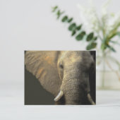 Elephant Portrait Briefkaart (Staand voorkant)