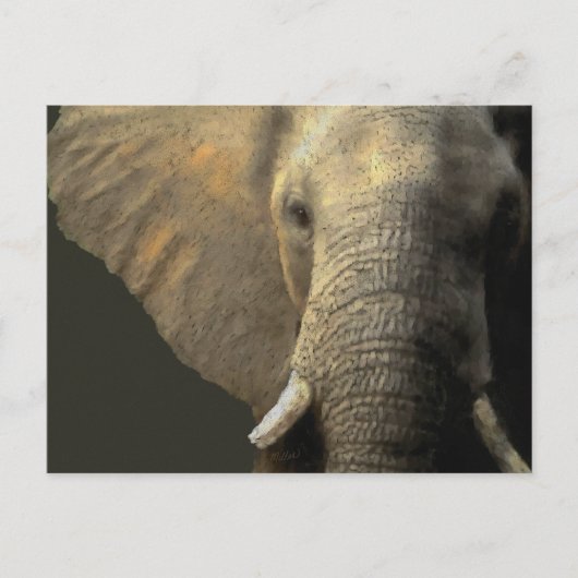 Elephant Portrait Briefkaart (Voorkant)