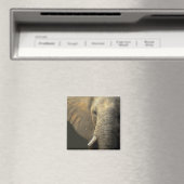 Elephant Portrait Magneet (Insitu (Vaatwasser))