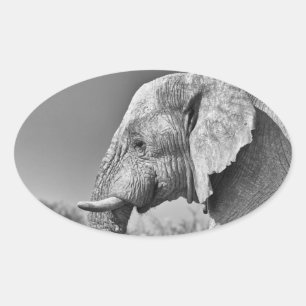 Elephant portret ovale sticker