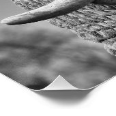 Elephant portret perfect poster (Hoek)