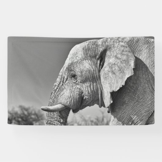 Elephant portret spandoek (Horizontaal)