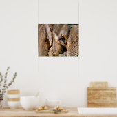 ELEPHANT POSTER (Keuken)