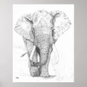 Elephant Poster (Voorkant)
