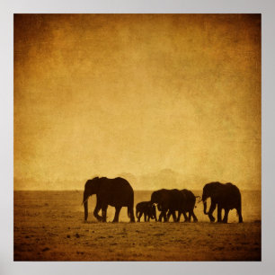 Elephant Poster