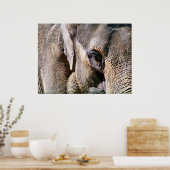 ELEPHANT POSTER (Keuken)