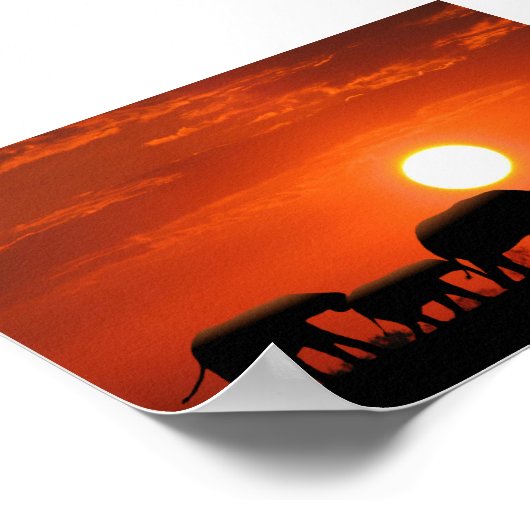 Elephant Poster (Hoek)