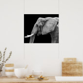 Elephant - Poster (Cuisine)