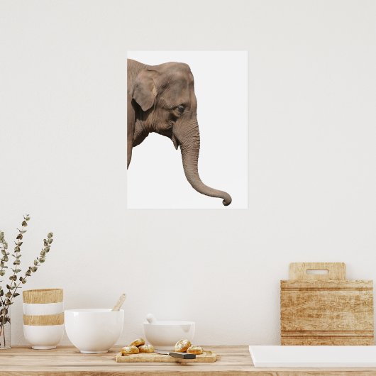 Elephant Poster (Keuken)