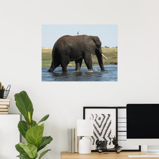 Elephant Poster (Thuiskantoor)