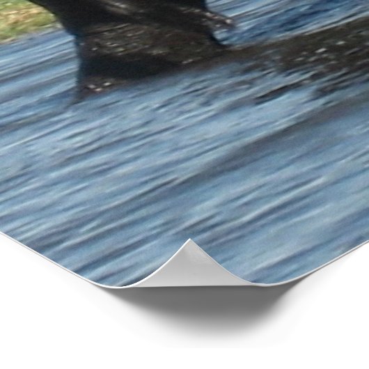 Elephant Poster (Hoek)